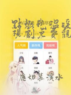 点燃我温暖你电视剧免费观看全集