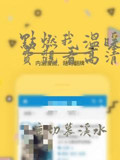 点燃我温暖你免费观看高清完整版