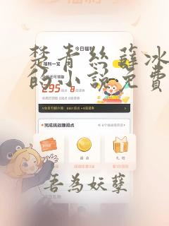 楚青丝薛冰陈叔的小说免费阅读