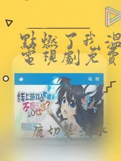 点燃了我温暖你电视剧免费观看