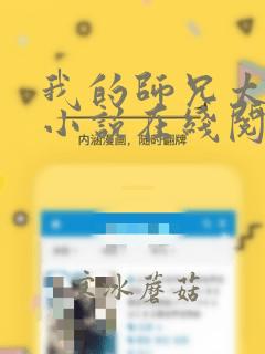 我的师兄太稳健小说在线阅读