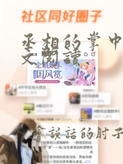 丞相的掌中娇全文阅读