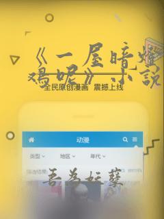 《一屋暗灯麦香鸡呢》小说
