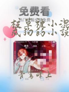 校草被小混调练成狗的小说免费阅读