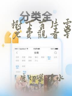 树下有片电视剧免费观看星辰影院