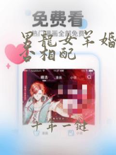 男龙女羊婚姻是否相配