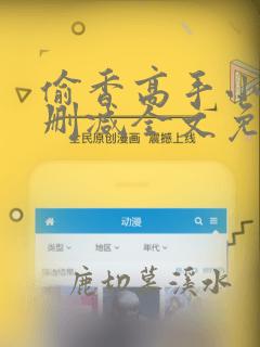 偷香高手小说无删减全文免费阅读
