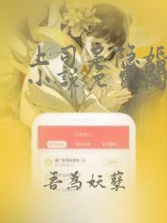 上司是隐婚老公小说免费阅读全文最新