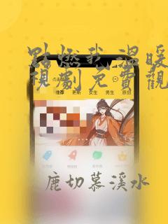 点燃我温暖你电视剧免费观看30