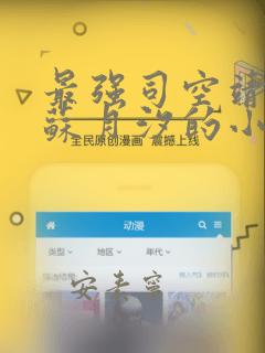 最强司空靖女主苏月汐的小说免费阅读
