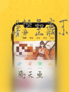 《极品家丁徐芷晴》正版小说