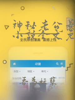 神秘老公惹不起小说全文免费阅读