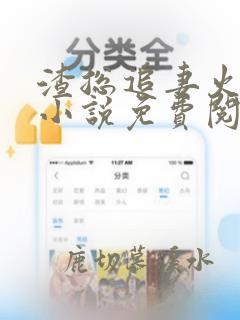 渣总追妻火葬场小说免费阅读