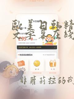 欧美日韩精品中文字幕在线观看