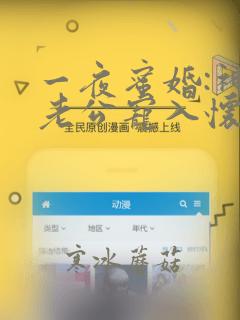 一夜蜜婚:神秘老公宠入怀免费全文阅读