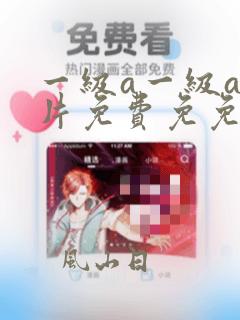 一级a一级a爰片免费免免丿软件