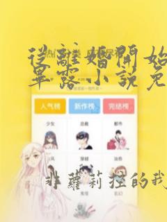 从离婚开始锋芒毕露小说免费阅读