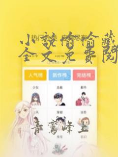 小说偷偷藏不住全文免费阅读免费