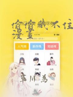橡皮树的价格