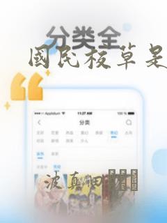 国民校草是女生