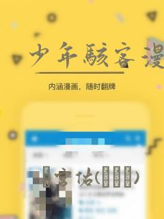 少年骇客漫画：结局+番外