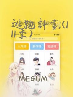逃跑计划(I II季)