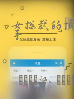 女总裁的顶级高手
