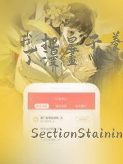 魔皇大管家漫画免费下拉式漫画土豪