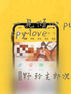 一见倾心 puppy love