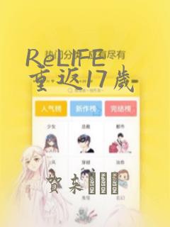 ReLIFE 重返17岁