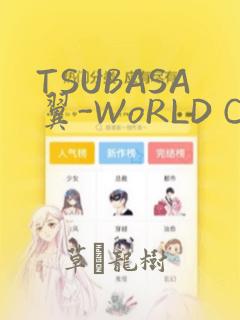 TSUBASA翼-WoRLD CHRoNiCLE 梦幻之岛篇