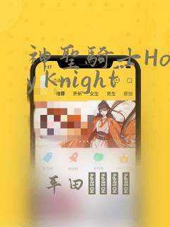 神圣骑士Holy Knight