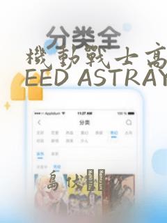 机动战士高达SEED ASTRAY R