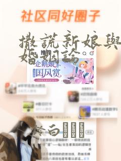 撒谎新娘与同性婚姻论