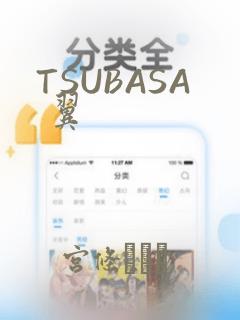TSUBASA 翼：结局+番外