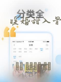 暖婚甜入骨漫画：结局+番外