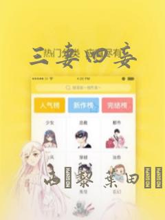 三妻四妾