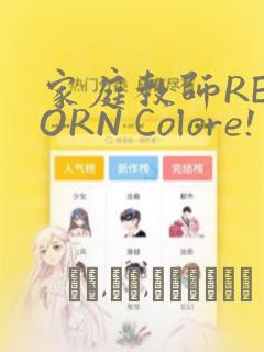 家庭教师REBORN Colore! 画集：结局+番外
