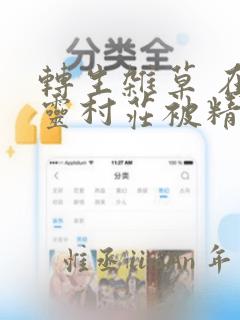 转生杂草 在精灵村庄被精心抚养
