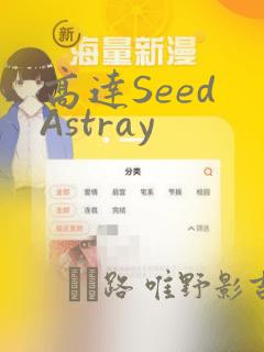 高达Seed Astray：结局+番外