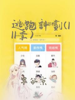 逃跑计划(I II季)