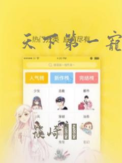 天下第一宠漫画：结局+番外