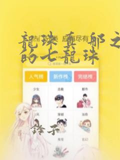 龙珠真 那之后的七龙珠