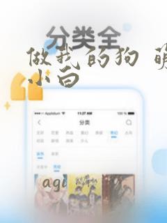 海边哪里旅游便宜又好玩免费阅读