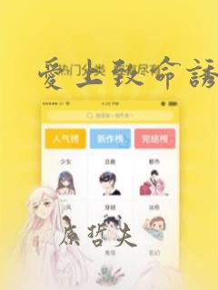 爱上致命诱惑：结局+番外