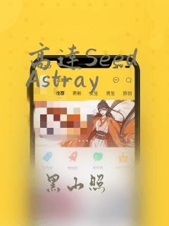 高达Seed Astray