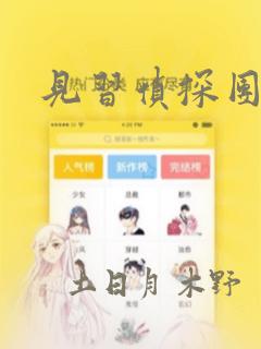 见习侦探团：结局+番外