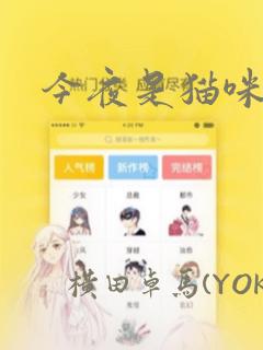 今夜是猫咪酱：结局+番外