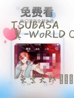 TSUBASA翼-WoRLD CHRoNiCLE 梦幻之岛篇