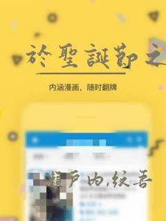 于圣诞节之末：结局+番外